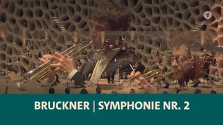 Teaserbild: Bühne im großen Saal der Elbphilharmonie Hamburg mit Musikern des NDR Elbphilharmonieorchesters