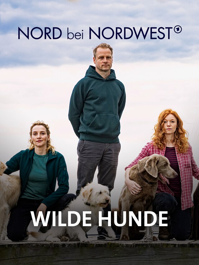 Nord bei Nordwest: Wilde Hunde